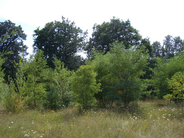 CIMG5557
