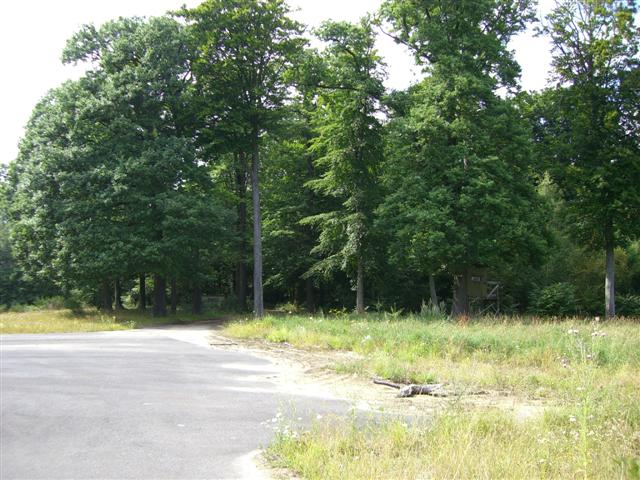 CIMG5559