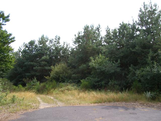 CIMG5565