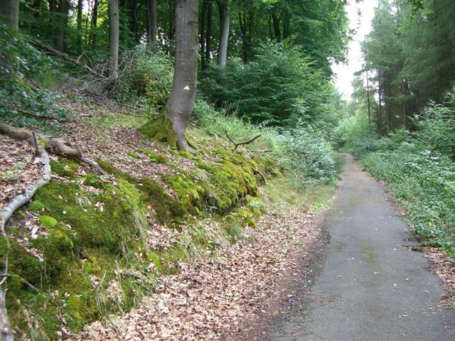 CIMG5576