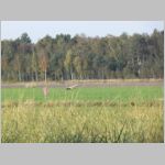 OktoberFlugwochenende_057.jpg