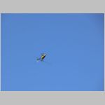 A3q_Airmeet_2010_061.jpg